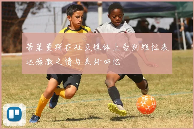 蒂莱曼斯在社交媒体上告别维拉表达感激之情与美好回忆